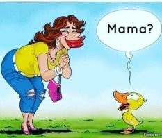 Большая тарелка улыбатора