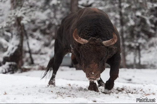 Солянка от 22.01.2026