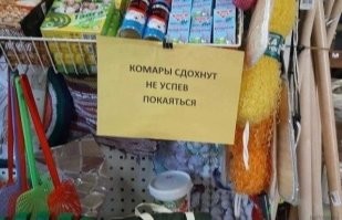 Еловые