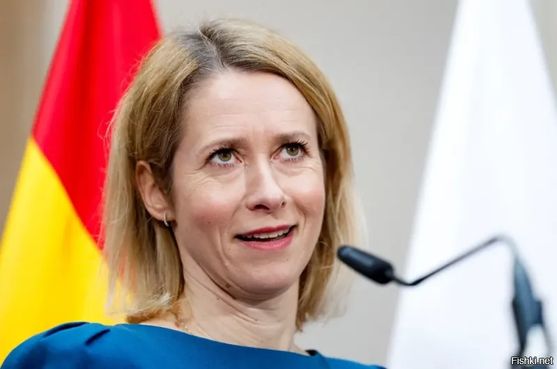 Эстонию лишили права проводить чемпионат Европы из-за недопуска россиян и белорусов