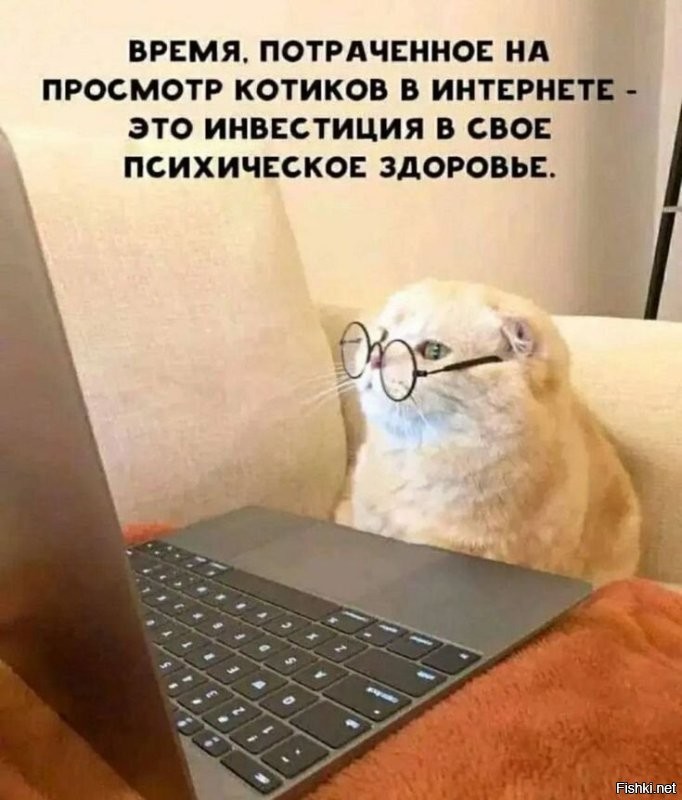 Солянка от 23.01.2026