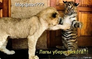 Секретное оружие тигра: его рык может парализовать животное или человека