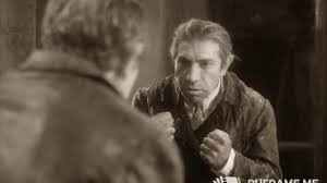 Кот потерялся во время отдыха в Испании и сам дошёл до дома во Франции