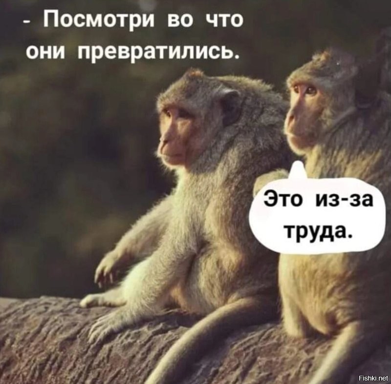 Солянка от 23.01.2026