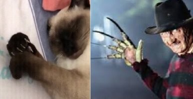 Просто гифки, всякие и&nbsp;разные