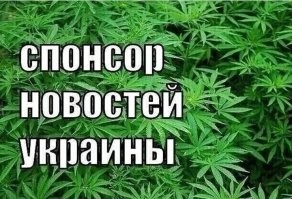 Политика и