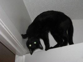 ну, можно и так...