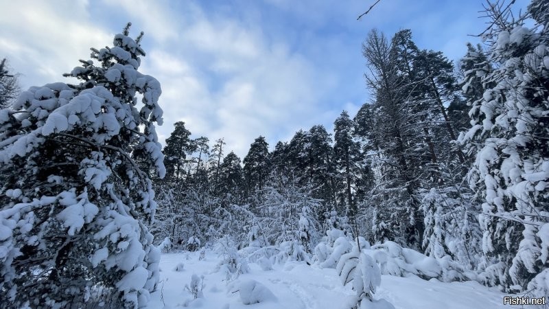 Солянка от 24.01.2026