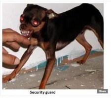 Да всему миру глубоко пох что там у вас в Эстонии... Вас там меньше чем в районе Москвы... Но тявкаете самозабвенно.