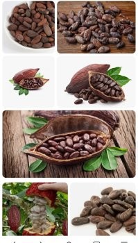 Пиво от Германа Стерлигова: 6 500 р. за бутылку