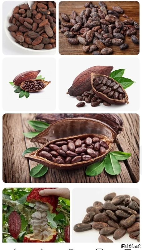 Пиво от Германа Стерлигова: 6 500 р. за бутылку