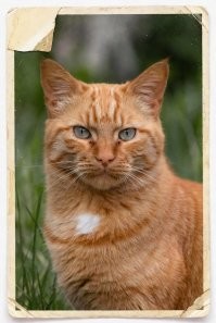 вот так - фотография