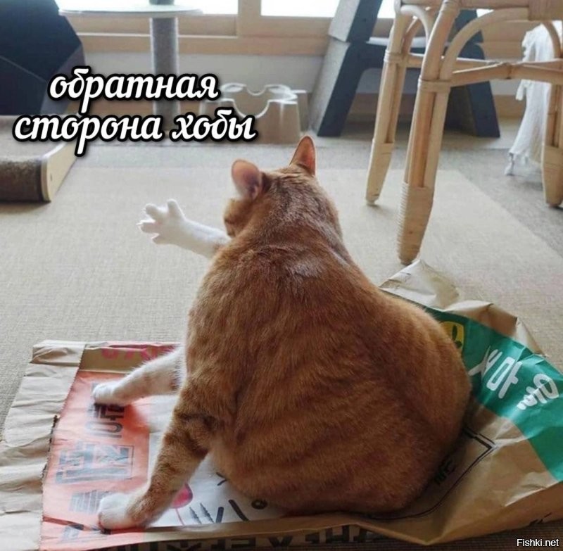 Доброе утро