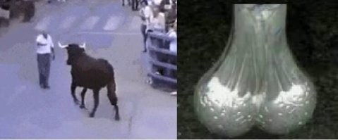 Просто гифки, всякие и&nbsp;разные