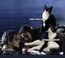 Скрины из соцсетей