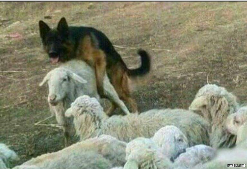 Прикольные демотиваторы