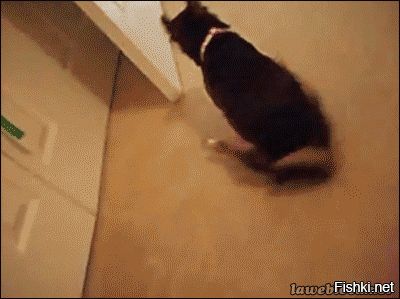 Прикольные демотиваторы