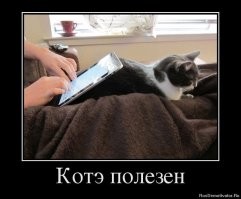 Лучший живой штатив для смартфона