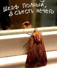 Да и одета не особо... =)