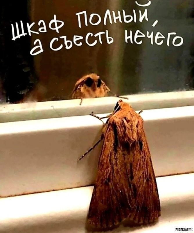 Да и одета не особо... =)