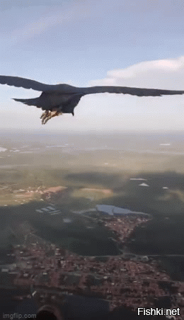 Просто гифки, всякие и&nbsp;разные