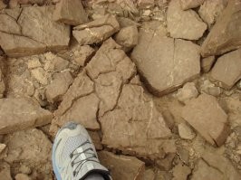 Шикарные кроссовки – Salomon. Вполне можно взять в пределах 15 тыр. Ходил и по городу, и по горам, и по пустыне. Очень доволен.