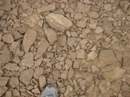 Шикарные кроссовки – Salomon. Вполне можно взять в пределах 15 тыр. Ходил и по городу, и по горам, и по пустыне. Очень доволен.