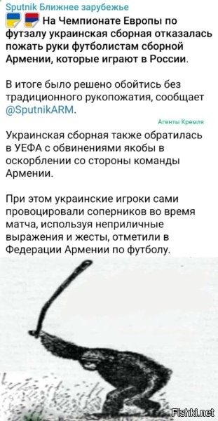 Абала жаба гадюку...