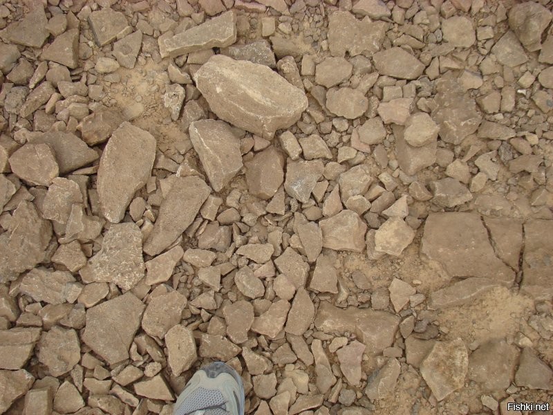 Шикарные кроссовки – Salomon. Вполне можно взять в пределах 15 тыр. Ходил и по городу, и по горам, и по пустыне. Очень доволен.