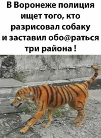 Когда проходишь миссию в игре "по стелсу"