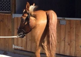 Скрины из соцсетей