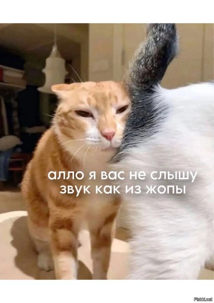 Солянка от 26.01.2026
