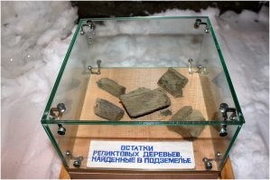 Вообще то, у нас тоже такой есть в Игарке. Но мало о нем кто знает. Очень познавательно.
Летом на улице +30, а в 8 метрах под землей -15.