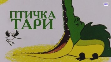 Попугай-стоматолог: птица сама вырвала ребёнку молочный зуб