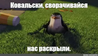 Пингвины попытались сбежать из зоопарка