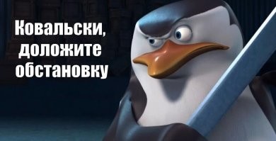 Пингвины попытались сбежать из зоопарка