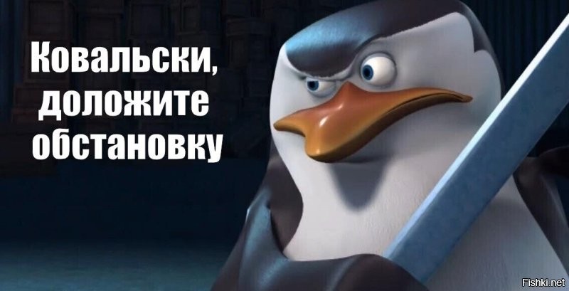 Пингвины попытались сбежать из зоопарка
