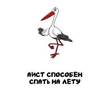 Вот и приносит малышей кому ни попадя))