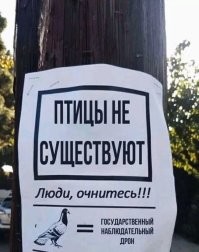 Крылатые аэрофотографы находчивого немецкого аптекаря
