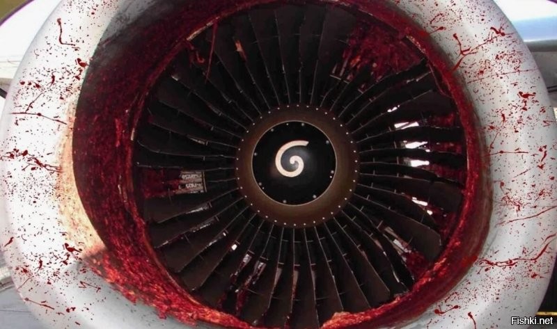 Солянка от 27.01.2026