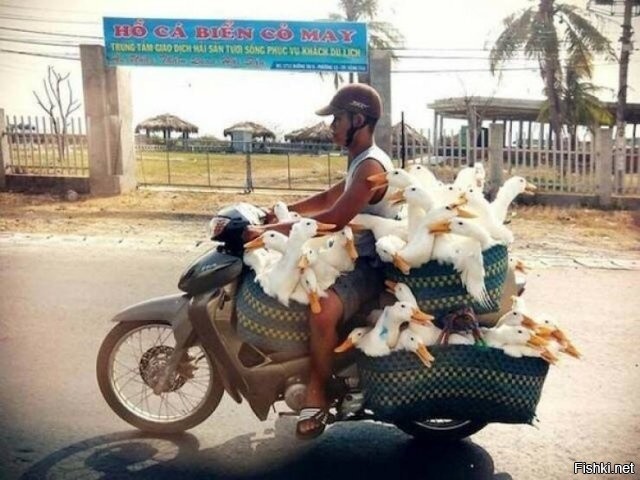 Кто чем зарабатывает