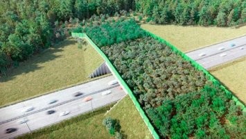 Такое и у нас есть. Экодуки в виде мостов без асфальта. На М3, на м12 точно есть.