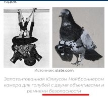 Безопасности? Какой безопасности? Почему безопасности?