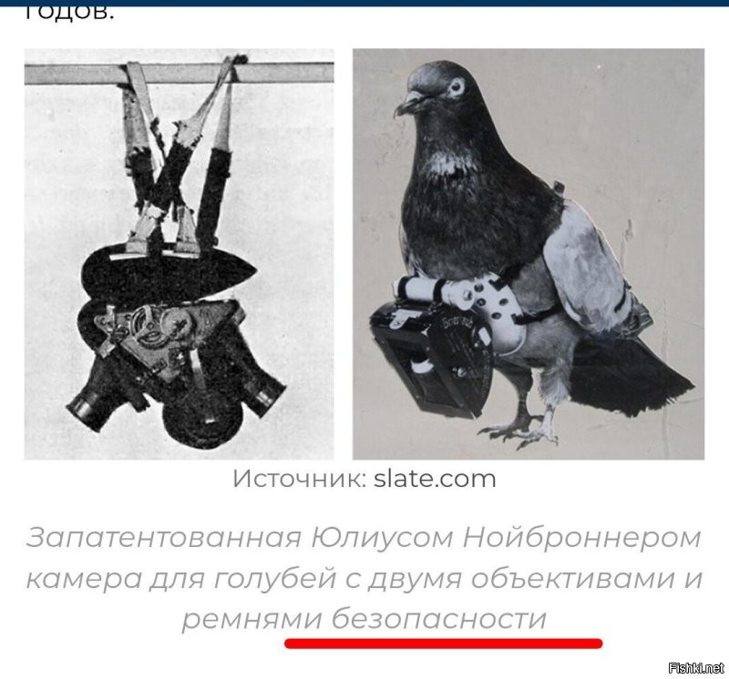 Безопасности? Какой безопасности? Почему безопасности?