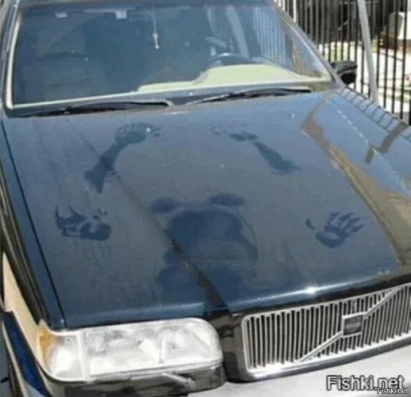 АвтоВсячина