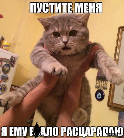 А ну грабли убрал, мешок кожаный!