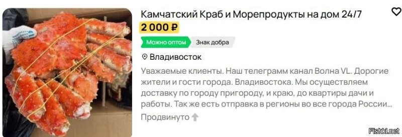 Солянка от 27.01.2026