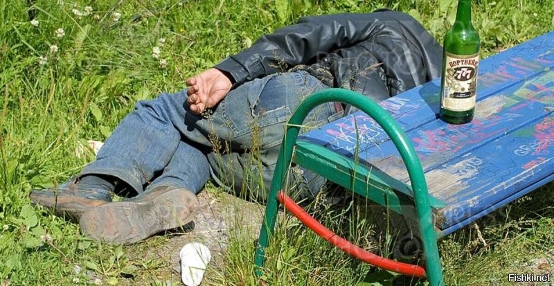 ... и бесплатный подорожник.