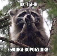 Активные галактики