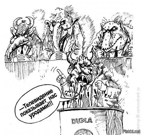 Володин объяснил запрет на съёмку в Госдуме заботой о психическом здоровье фоторепортёров